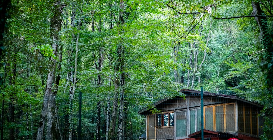 Bungalov için temsili fotoğraf