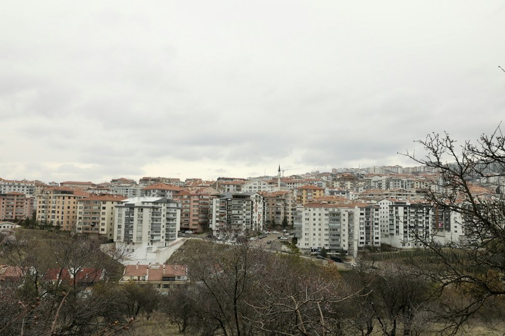 Kooperatif için temsili fotoğraf